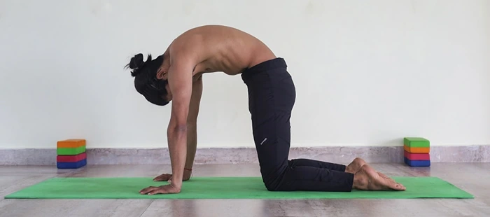 Cat Pose Yoga for back pain