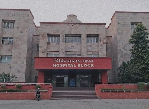 Chaudhary Brahm Prakash Ayurved Charak Sansthan