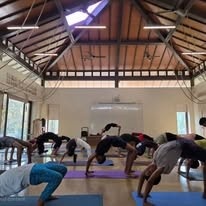 ShriyogInstituteofIyengarYogaMagarpatta6